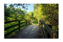 Obraz Drevený most v parku zs24780